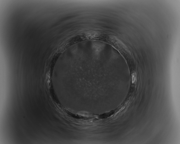 X0000097841011200803201513