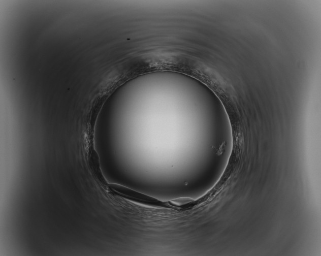 X0000097841012200803201513