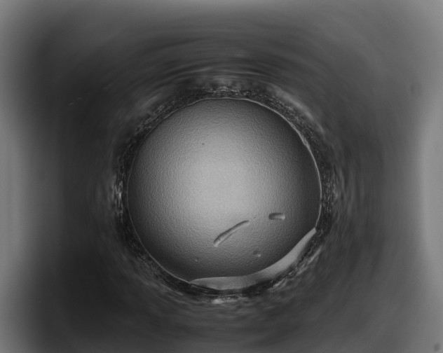 X0000097841013200803201513