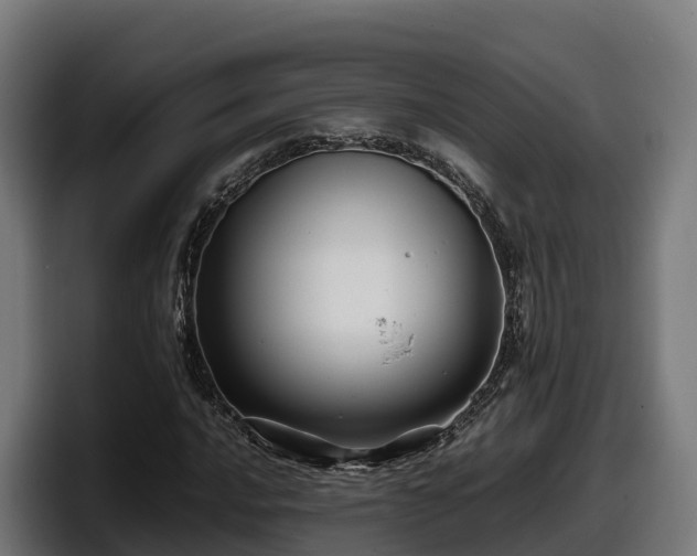 X0000097841016200803201513