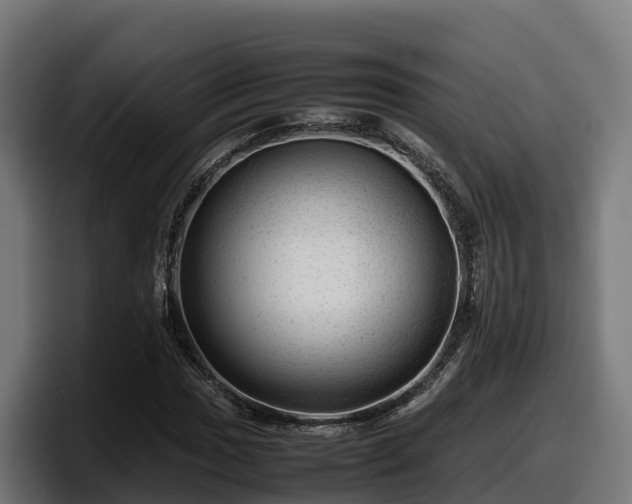 X0000097841017200803201513
