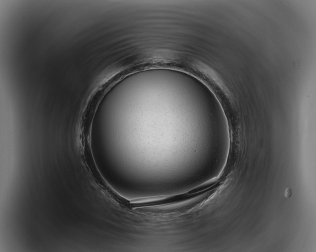 X0000097841018200803201513