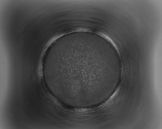 X0000097841019200803201514
