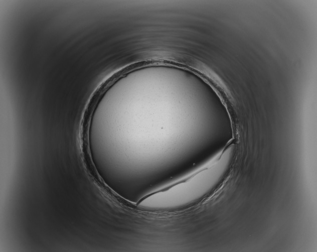 X0000097841020200803201514