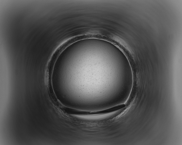 X0000097841021200803201514