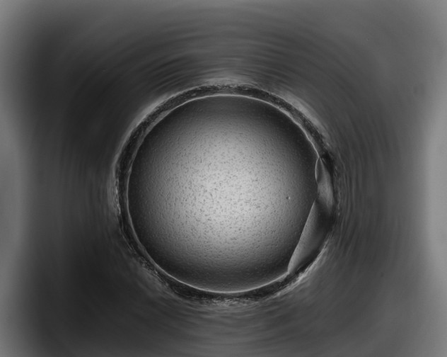 X0000097841022200803201514
