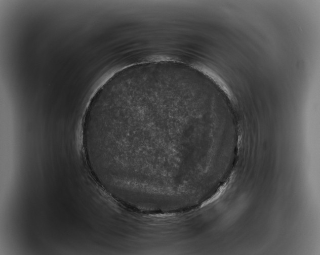 X0000097841023200803201514