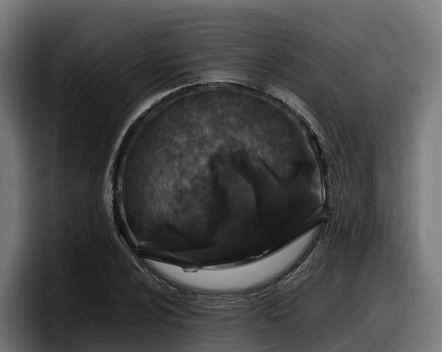 X0000097841024200803201514