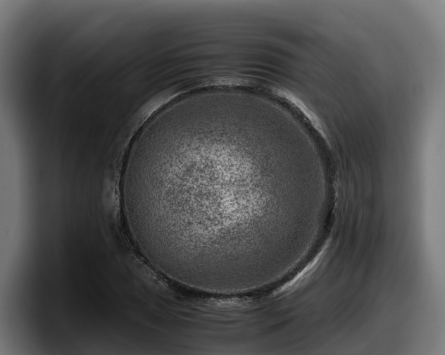 X0000097841025200803201514