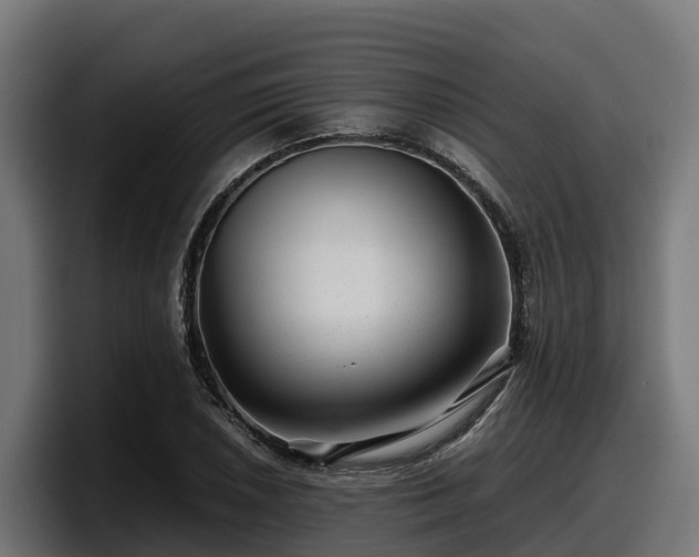 X0000097841026200803201514
