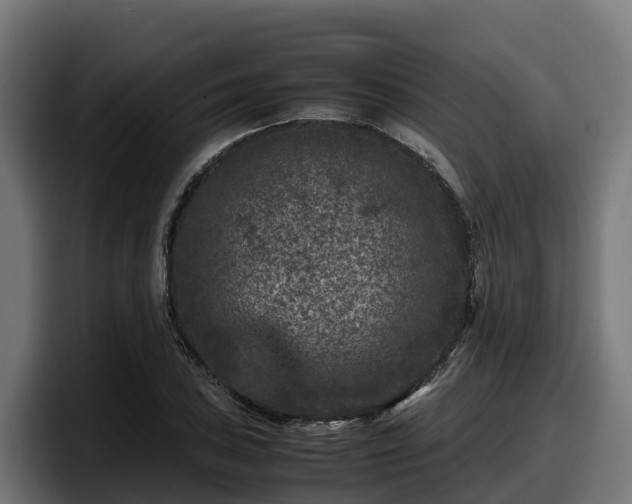 X0000097841027200803201514