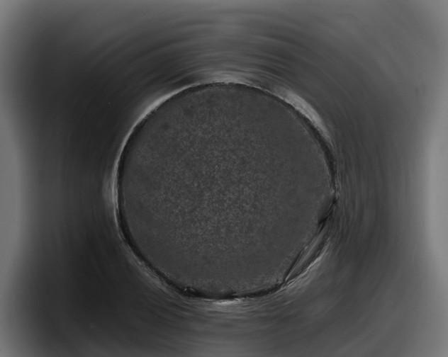 X0000097841028200803201514