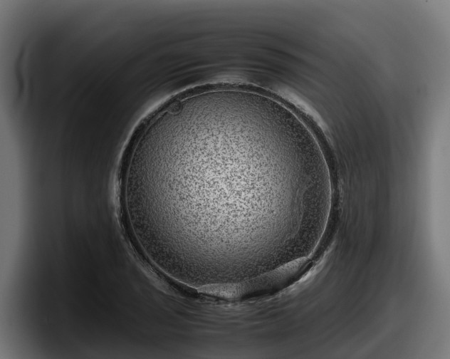 X0000097841029200803201514