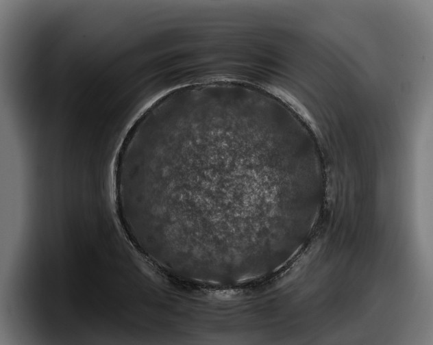 X0000097841031200803201514