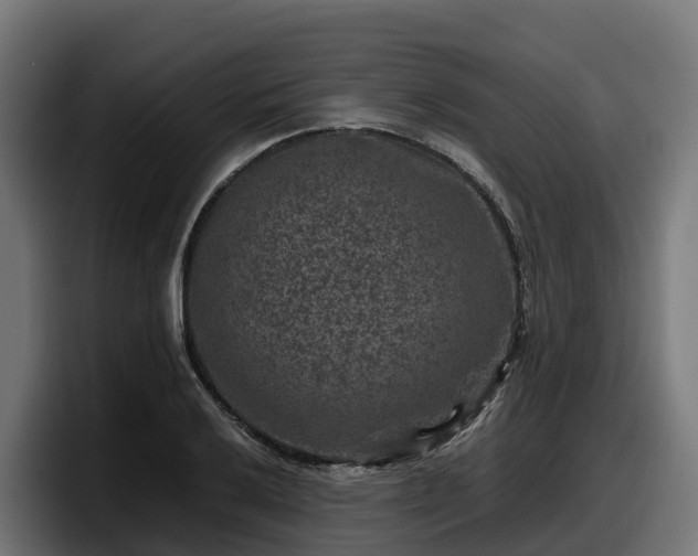 X0000097841032200803201514