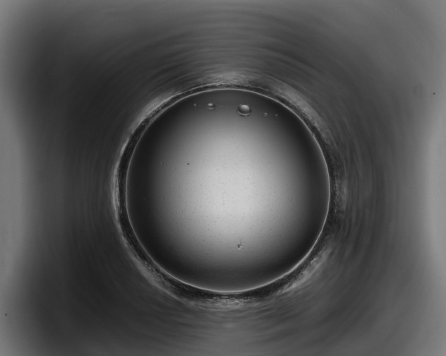 X0000097841034200803201514