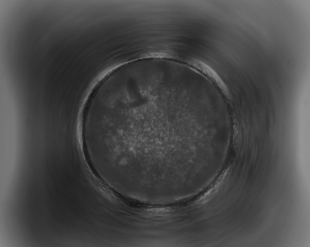 X0000097841035200803201514