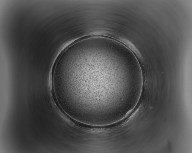 X0000097841036200803201514