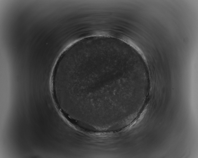 X0000097841037200803201514
