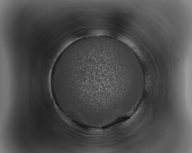 X0000097841039200803201514
