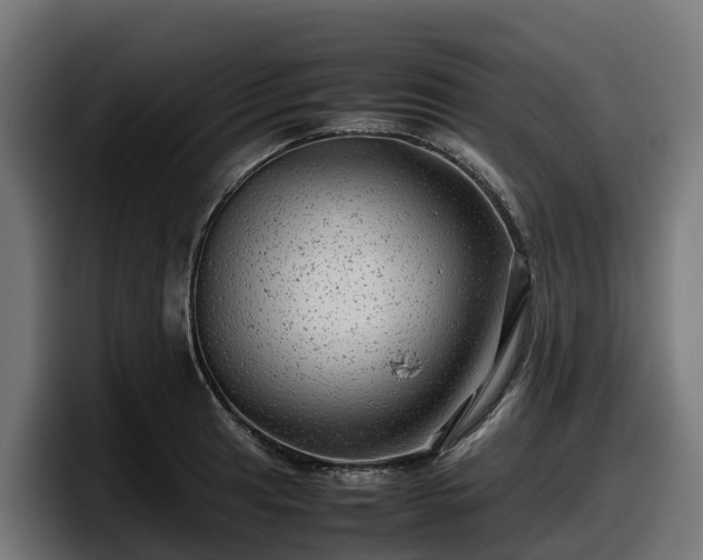 X0000097841041200803201514