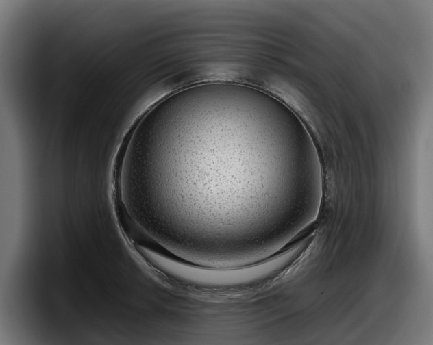 X0000097841042200803201514