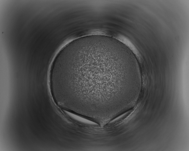 X0000097841043200803201514