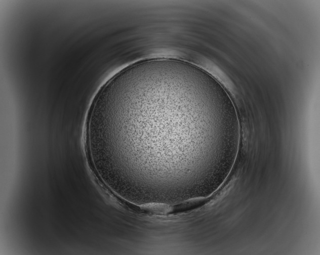 X0000097841044200803201514