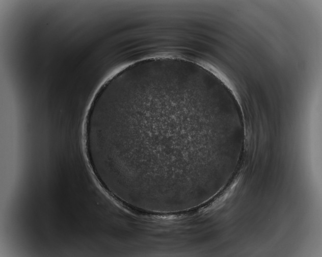 X0000097841045200803201514