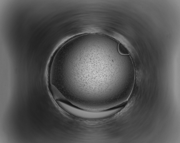X0000097841046200803201514