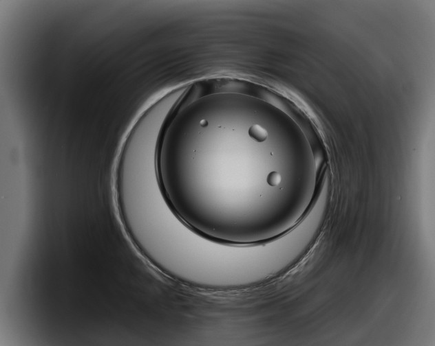 X0000097841048200803201514