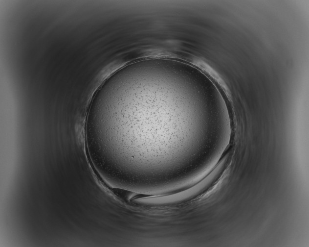 X0000097841049200803201514