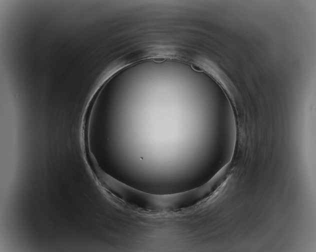 X0000097841050200803201514