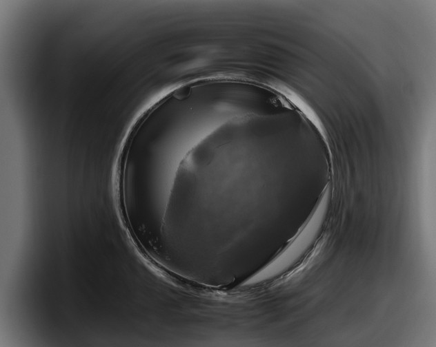 X0000097841053200803201514