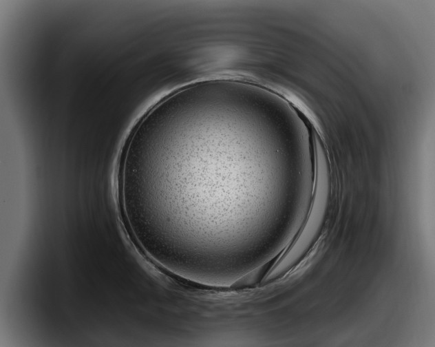 X0000097841054200803201514