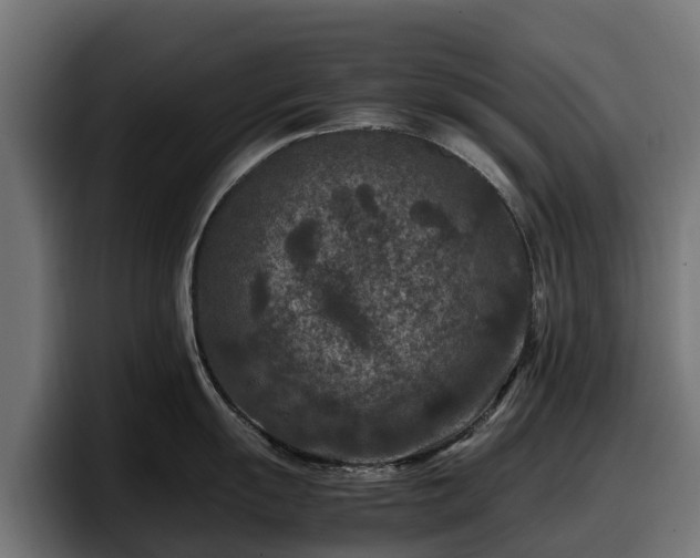 X0000097841055200803201514