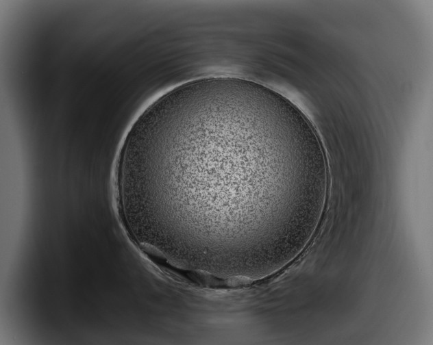 X0000097841056200803201514