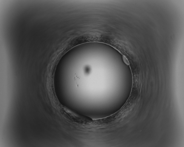 X0000097841057200803201513