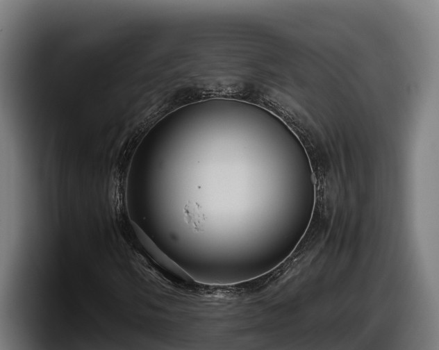 X0000097841058200803201513