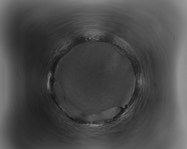 X0000097841060200803201513