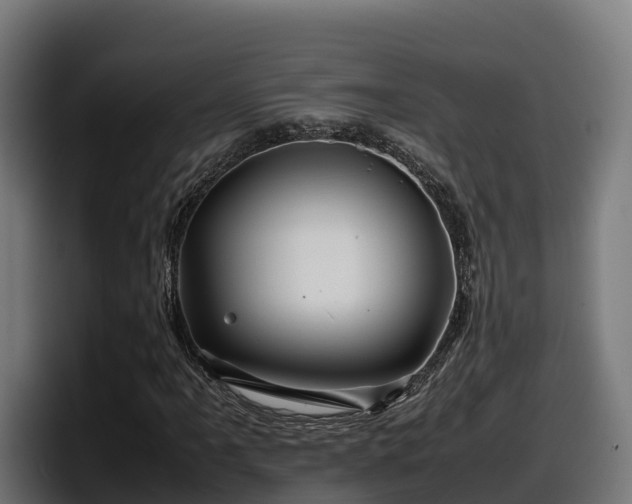 X0000097841061200803201513