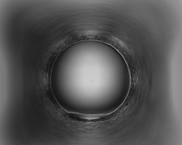 X0000097841062200803201513