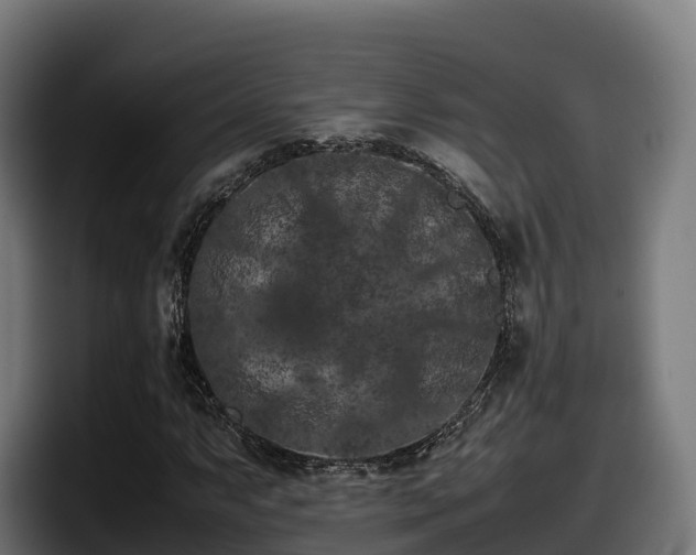 X0000097841063200803201513