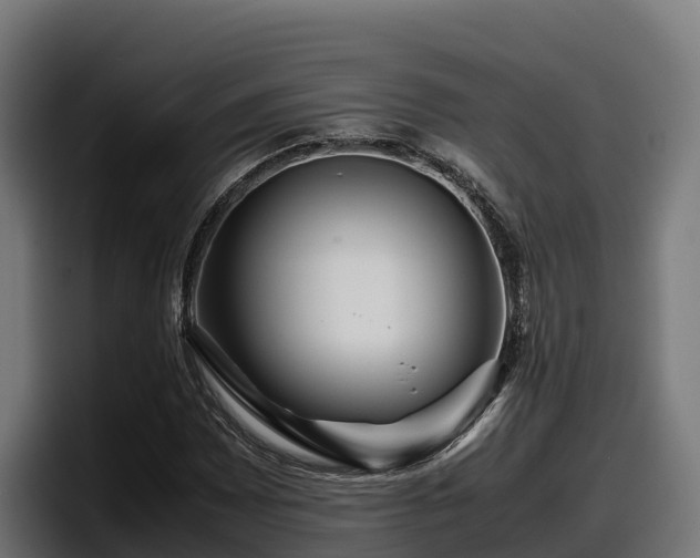 X0000097841065200803201513