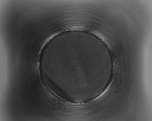 X0000097841066200803201513