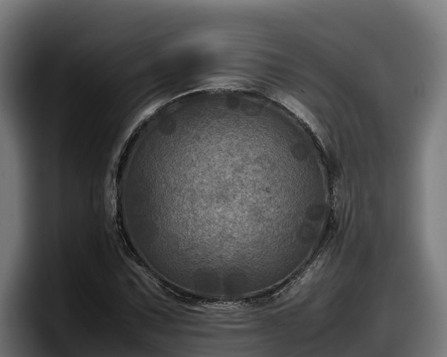 X0000097841067200803201513