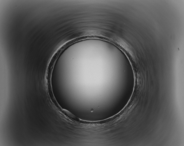 X0000097841068200803201513