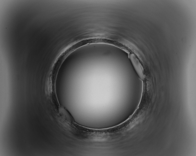 X0000097841069200803201513