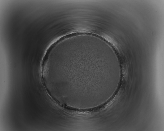 X0000097841070200803201513