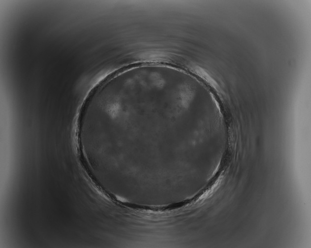 X0000097841071200803201513
